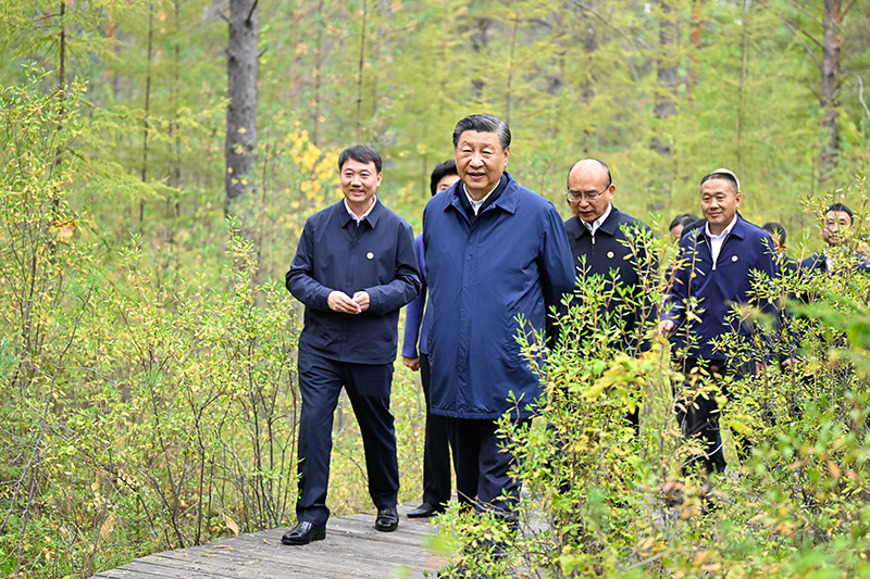 9月6日至8日，中共中央总书记、国家主席、中央军委主席习近平在黑龙江考察。这是6日下午，习近平在大兴安岭地区漠河市漠河林场自然林区考察